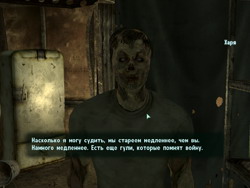 Fallout 3. .