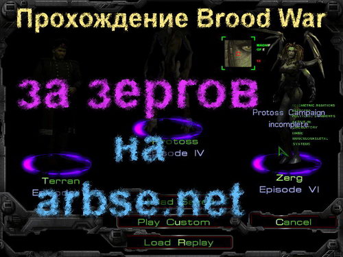   6  Brood War  