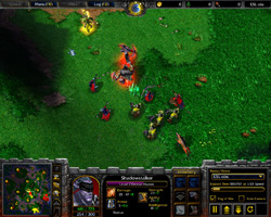 Warcraft 3: TFT.