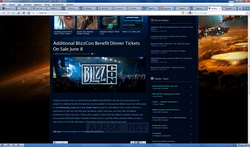Благотворительный обед BlizzCom2011