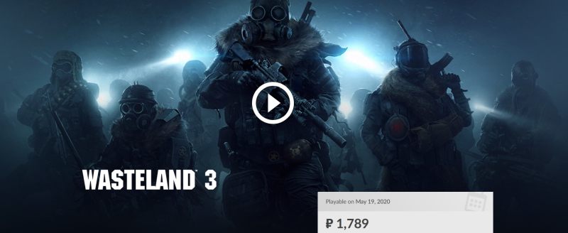 Wasteland 3    