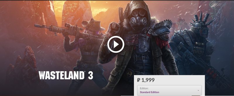 Wasteland 3     ?