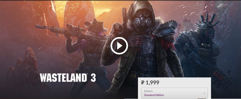 Wasteland 3     ?