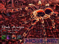 black arachnia