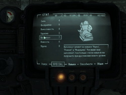 Fallout 3. . S.P.E.C.I.A.L.