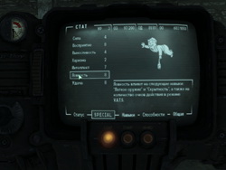 Fallout 3. . S.P.E.C.I.A.L.