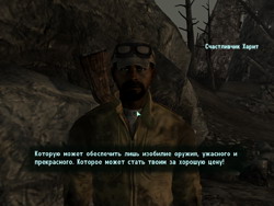 Fallout 3. .