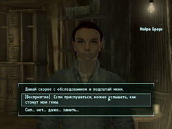 Fallout 3. .