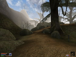 Morrowind скриншоты