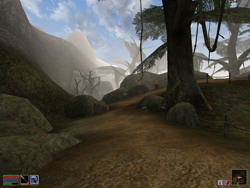 Morrowind 