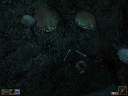 Morrowind скриншоты