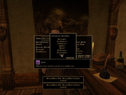 Morrowind. .  (Attributes)