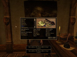 Morrowind. .  (Classes)