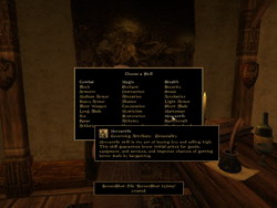 Morrowind. Скриншоты. Навыки (Skills)