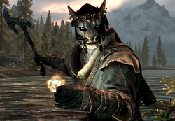 Skyrim - два оружия
