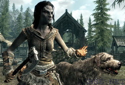 Напарники и питомцы Skyrim