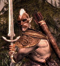 Напарники и питомцы Skyrim