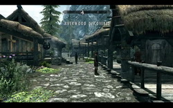 Сетевая игра в Skyrim