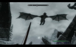     Skyrim