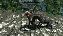    Skyrim