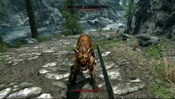  Skyrim