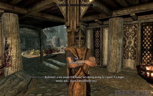      Skyrim