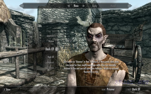 Dunmer (  Ҹ )