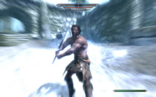   Skyrim