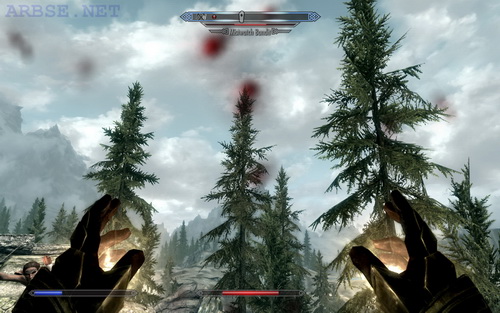   Skyrim