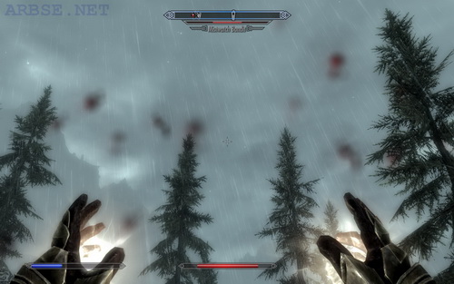   Skyrim