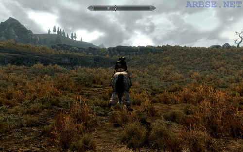    Skyrim