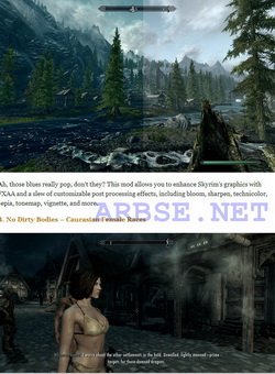    Skyrim  20.01.2012