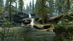  Skyrim