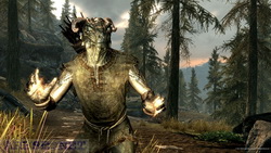    Skyrim