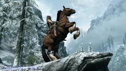   Skyrim