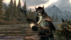  Skyrim