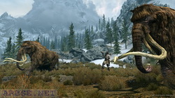  Skyrim