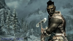    Skyrim