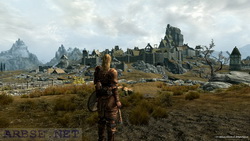      Skyrim