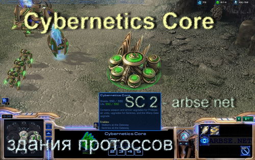 Cybernetics Core – здание протоссов StarCraft 2