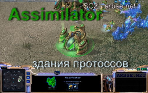 Assimilator – здание протоссов StarCraft 2