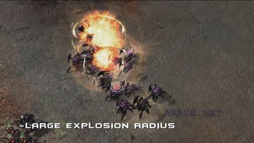 ����� ����� ��� ������