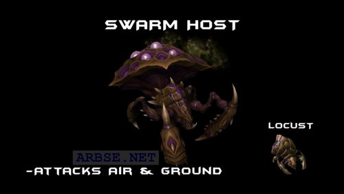 swarm host
