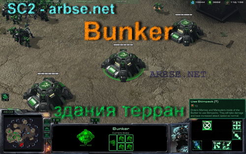 Bunker