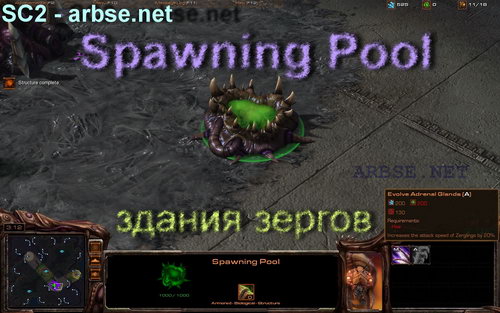 Spawning Pool – здание зергов StarCraft 2