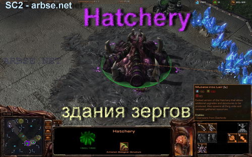 Hatchery – здание зергов StarCraft 2