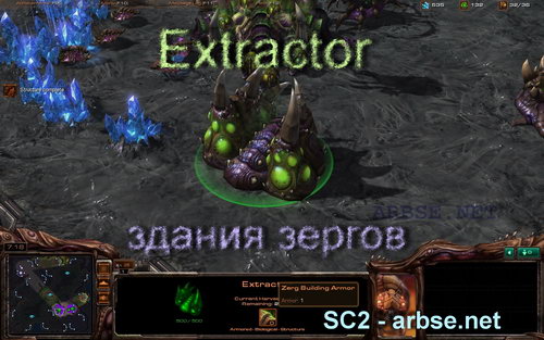 Extractor – здание зергов StarCraft 2