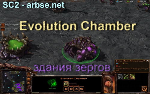 Evolution Chamber – здание зергов StarCraft 2