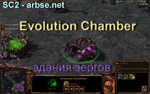 Evolution Chamber