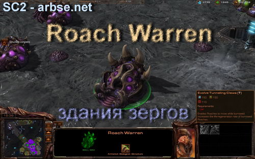 Roach Warren    StarCraft 2